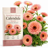 25 Pcs Strawberry Blonde Calendula Seeds, Heirloom Non-GMO Edible Flowers, Low Maintenance Peach & Pink Blooms for Yard Borders