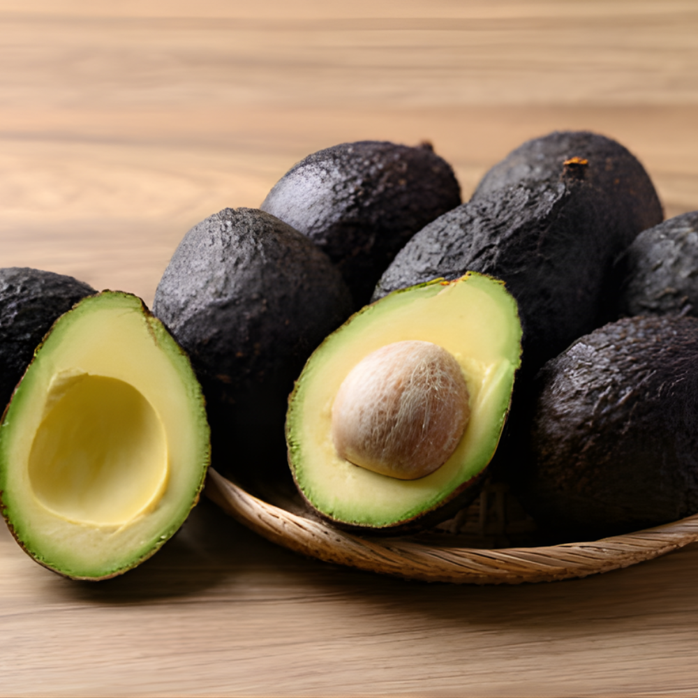 (No Ship to CA,HI,AK) HASS Avocado Tree Live Plants – 2.5–3 Ft Live Plant | Delicious Avocados for Fresh Eating & Home Gardening