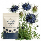 200 Pcs Midnight Nigella Seeds for Outdoors, Adaptable Heirloom Yielding Striking Deep Purple Petals, Cold-Hardy Plants for Captivating Spring Landscapes