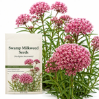 150 Swamp Milkweed Seeds, Cold-Hardy Perennial Plants, Grow Robust White Blooms for Pollinators & Outdoor Landscapes
