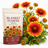 200 Pcs Blanket Flower Seeds for Planting Outdoors, Non-GMO Heirloom Gaillardia Aristata, Sturdy Low Maintenance Blooms for Yard Borders