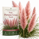 100 Pink Pampas Grass Seeds for Planting Outdoors, Non-GMO Heirloom Ornamental Grass Seeds, Sturdy Tall Stalks & Striking Feathery Plumes for Yard Borders