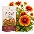 200 Pcs Blanket Flower Seeds for Planting Outdoors, Non-GMO Heirloom Gaillardia Aristata, Sturdy Low Maintenance Blooms for Yard Borders