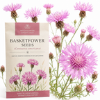 100 Basketflower Seeds, Heirloom Non-GMO Wildflowers, Low Maintenance Pink & Lilac Blooms for Pollinators