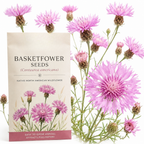 100 Basketflower Seeds, Heirloom Non-GMO Wildflowers, Low Maintenance Pink & Lilac Blooms for Pollinators