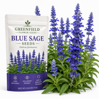 100 Pcs Blue Sage Seeds for Planting Outdoors, Non-GMO Heirloom Perennial Herb Seeds, Low Maintenance Blue Flower for Yard Borders
