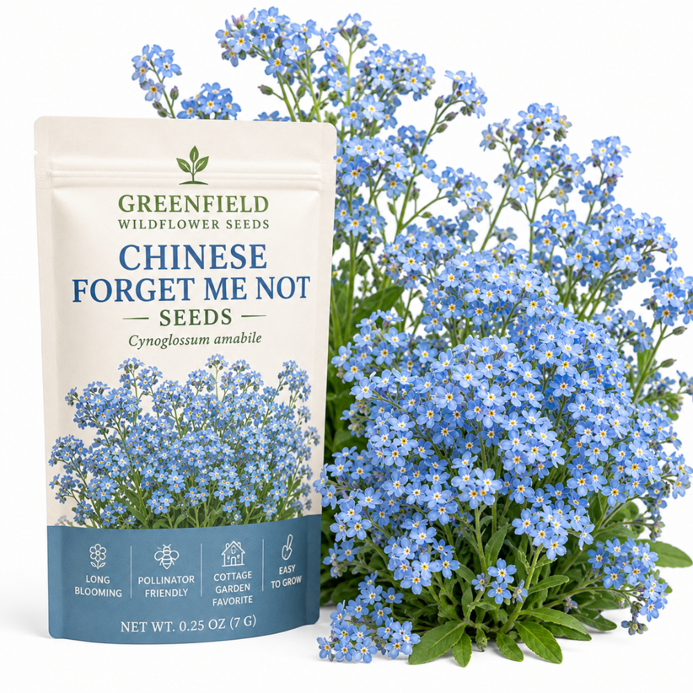 150 Pcs Chinese Forget Me Not Seeds for Planting Outdoors, Non-GMO Heirloom Blue Flowers, Low Maintenance Vigorous Blooms for Stunning Yard Borders