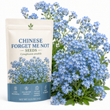 150 Pcs Chinese Forget Me Not Seeds for Planting Outdoors, Non-GMO Heirloom Blue Flowers, Low Maintenance Vigorous Blooms for Stunning Yard Borders
