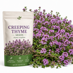 250 Pcs Creeping Thyme Seeds for Planting Outdoors, Non-GMO Heirloom Ground Cover, Fragrant Pink Blooms for Gardens & Walkways