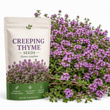 250 Pcs Creeping Thyme Seeds for Planting Outdoors, Non-GMO Heirloom Ground Cover, Fragrant Pink Blooms for Gardens & Walkways