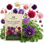 100 Pcs Columbine Seeds for Planting, Non-GMO Heirloom Double Mixed Seeds, Low Maintenance Cold-Hardy Ruffled Blooms for Partially Shaded Gardens