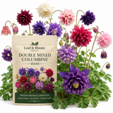 100 Pcs Columbine Seeds for Planting, Non-GMO Heirloom Double Mixed Seeds, Low Maintenance Cold-Hardy Ruffled Blooms for Partially Shaded Gardens