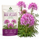 50 Pcs Rocky Mountain Bee Plant Seeds for Planting Outdoors, Non-GMO Heirloom Tall Flower Seeds, Low Maintenance Pink Blooms for Yard Borders