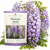 5 Pcs Wisteria Seeds for Planting Outdoors, Non-GMO Climbing Vine Seeds, Low Maintenance Fragrant Cascading Blooms for Pergolas & Arbors