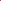Live Eastern Redbud Tree for Planting, 12-18 Inch Tall in Quart Pot, Beautiful Ornamental Redbud for Home, Garden, Yard & Outdoor Landscaping, Low-Maintenance, Easy-Grow Starter Plant