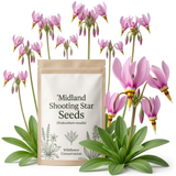 75 Pcs Midland Shooting Star Seeds, Non-GMO Heirloom Flowers for Shade, Vigorous Growth, Low Maintenance Displays