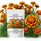 900 Pcs Sparky Marigold Seeds, Non-GMO Heirloom Flowers for Patios, Vigorous Growth, Low Maintenance Border Displays