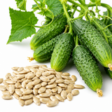 50 Pcs Boston Pickling Cucumber Seeds, Non-GMO, Crispy Sweet Cucumber Vegetable Seeds, Fast Growing Summer Crop for Garden Trellis