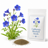 1500 California Bluebell Seeds for Planting Outdoors, Non GMO, Heirloom, Easy to Grow, High-Yield Deep Blue Bell-Shaped Bloom, Perfect for Garden Borders & Landscaping