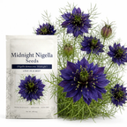 100 Pcs Midnight Nigella Seeds for Planting Outdoors, Non-GMO Heirloom Love in a Mist Flowers, Low Maintenance Dark Violet Blooms for Yard Borders