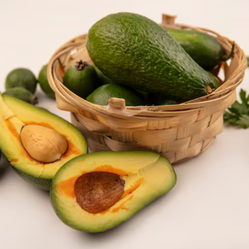(No Ship to CA,HI,AK) Avocado Plant Live Plants – Brogdon Avocado Tree | 30–36 Inch Tall Potted Plant | Outdoor Fruit Tree for Home Gardens & Landscape Planting