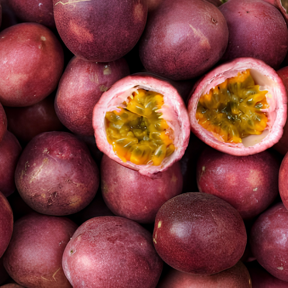 No Ship to CA, HI, AK, Passionfruit Live Plant, 1 Gallon Pot, Vigorous Climbing Plant for Edible Landscapes, Sturdy Tropical Fruit Vine for Sweet Harvests & Stunning Exotic Purple Flowers