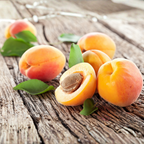 (No Ship to CA,HI,AK) Apricot Fruit Tree, 3 Gallon Pot Starter, Vigorous Cold-Hardy Plant for Edible Landscapes, Sturdy Deciduous Shade Tree for Sweet Summer Fruits & Spring Blossoms