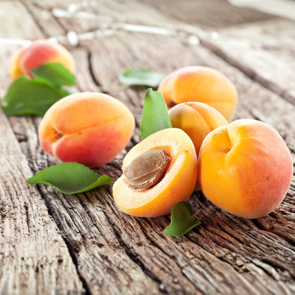 (No Ship to CA,HI,AK) Apricot Fruit Tree, 3 Gallon Pot Starter, Vigorous Cold-Hardy Plant for Edible Landscapes, Sturdy Deciduous Shade Tree for Sweet Summer Fruits & Spring Blossoms