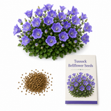 2100 Tussock Bellflower Seeds, Campanula Carpatica Perennial Flower Seeds, Fast Growing Blue Violet Upward Blooms, for Gardens & Pathways