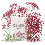300 Pcs Carmine Baby's Breath Seeds Perennial for Outdoors, Easy to Care Outdoor Yard Floral Décor, Low Maintenance Displays