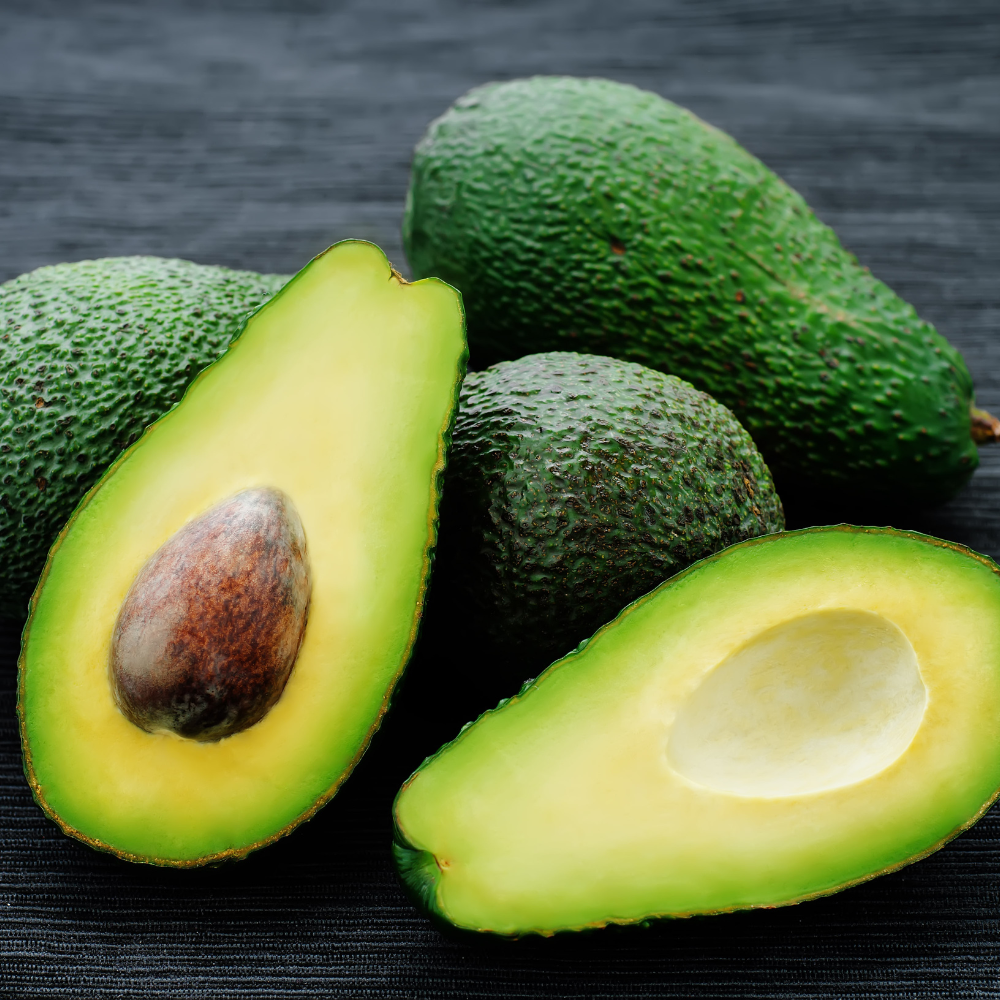 (No Ship to CA,HI,AK) Avocado Live Fruit Tree, 3 Gallon Pot, Vigorous Evergreen Plant for Edible Landscapes, Sturdy Subtropical Shade Tree for Creamy Harvests & Lush Green Foliage