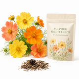 100 Mix Sulphur Cosmos Seeds for Planting, Non-GMO, Annual Cosmos sulphureus Seeds, Vibrant Yellow Orange & Red Flowers for Backyard Garden