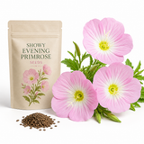 1500 Showy Evening Primrose Seeds for Planting, Non GMO, Heirloom, Fragrant Soft Pink Wildflower Seeds, Ideal for Gardens & Landscaping