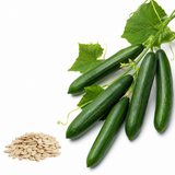 50 Tendergreen Burpless Cucumber Seeds, Non-GMO, Crispy Sweet Cucumber Vegetable Seeds, Fast Growing Summer Crop for Garden Trellis