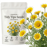 450 PCs Tidy Tips Seeds for Planting, Non-GMO Heirloom Seeds, Robust Fast-Growing Plants for Bright Spring Sunlit Gardens