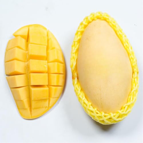 Valencia Pride Mango Trees Live Plants | 2.5–3 Ft Tropical Mango Variety | Fresh, Juicy Mango Fruit Tree for Yard & Patio | No Ship to CA,HI,AK