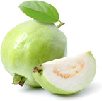 (No Ship to CA,HI,AK) Guava Plants Live for Planting - Thai White Guava Tree, 2-3 Foot Tall Potted Plant, 3 Gallon Size, Easy Care Tropical Greenery, Fruit Tree for Home Landscapes