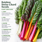 150 Pcs Rainbow Swiss Chard Seeds for Planting, Non GMO, Heirloom, Easy to Grow, Delicious Tender Greens, Ideal for Raised Beds, Containers & Gardens