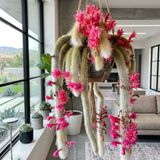 Monkey Tail Cactus Live Plant, 4-7 Inc Tall, Hanging Succulent Plants Live, Rare Succulents Live Plants