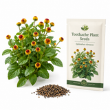 400 Toothache Plant Seeds for Planting Outdoors, Heirloom, Easy to Grow, Fast Growing Peek-A-Boo Electric Buttons, Unique Yellow Red Flower Seeds