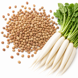 White Icicle Radish Seeds for Planting, 200 Pcs, Heirloom, Non GMO, Long Crisp White Root, Fast Growing Vegetable Seeds for Home Gardens