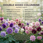 100 Pcs Columbine Seeds for Planting, Non-GMO Heirloom Double Mixed Seeds, Low Maintenance Cold-Hardy Ruffled Blooms for Partially Shaded Gardens