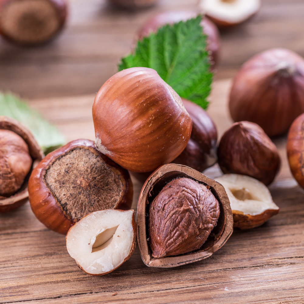 (No Ship to CA,HI,AK) Hazelnut Tree Live Plant, 2-3 Ft Tall in 3 Gallons Pot, Edible Nut Tree for Backyard Planting, Easy to Grow for Beginners