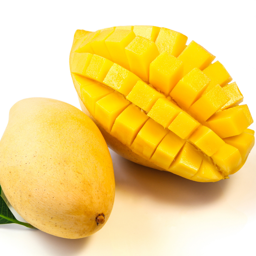 (No Ship to CA, HI, AK) Mallika Mango Trees Live Plants |Sweet Fruit Tree 2.5–3 Ft Tall | Compact Tropical Mango Variety with Rich, Aromatic Fruit | Ideal for Yard, Patio & Warm-Climate Gardens