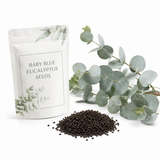 20 Baby Blue Eucalyptus Seeds, Non GMO, High Yield, Fragrant Silver-Blue Perennial, Charming Ornamental Accent