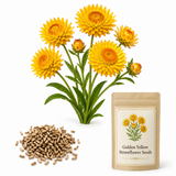 150 Strawflower Seeds for Planting Outdoors, Non GMO, Annual Flower Seeds, Vibrant Multi-Color Everlasting Flower, Ideal for Raised Beds & Backyard Gardens