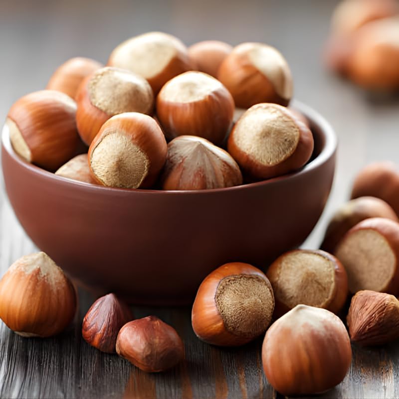 (No Ship to CA,HI,AK) Hazelnut Trees Live Plants in 3 Gallons Pot, Hazelnut Tree 2-3 Feet, Nut-Bearing Plant for Outdoor Gardens, Edible Landscaping and Home Orchard Use
