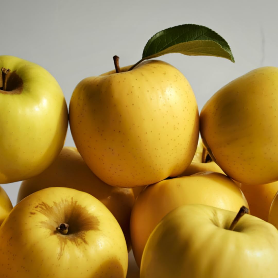 (No Ship to CA, HI, AK) Sweet Golden Delicious Apple Plant Live, 3 Feet Tall, Fruit Trees Live Plants Ready to Fruit, Live Fruit Trees for Outdoor Planting
