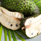 No Ship to CA, HI, AK, Soursop Tree Live Plant, Well-Rooted 24-30" Potted Annona Muricata, Tropical Evergreen Fruit Tree for Home Orchards