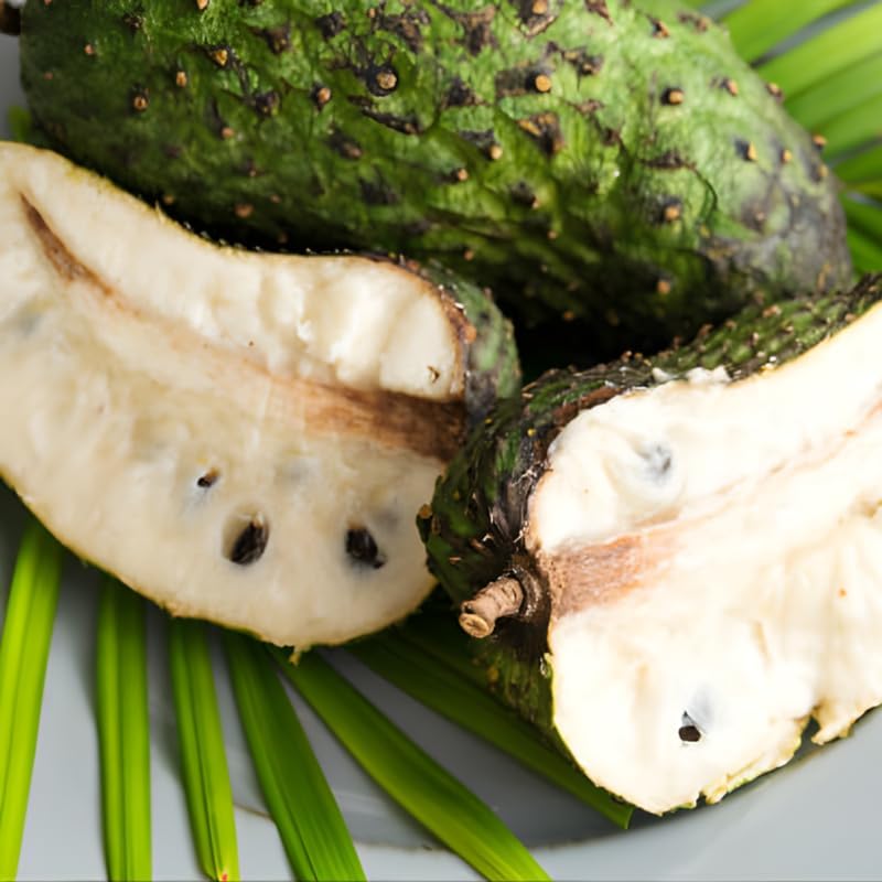 No Ship to CA, HI, AK, Soursop Tree Live Plant, Well-Rooted 24-30" Potted Annona Muricata, Tropical Evergreen Fruit Tree for Home Orchards